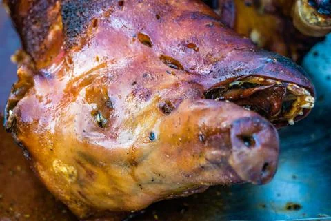 Head of a roasted pig 写真素材