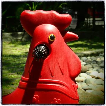 Head of a rooster Stock Photos