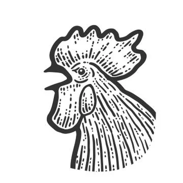 The head of a rooster. Sketch scratch board imitation. Black and white. Illustrazione stock