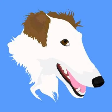 Head of  russian wolfhound Stock Illustration