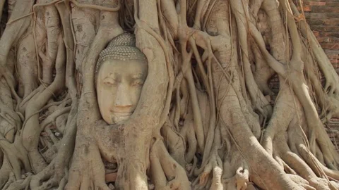 Head of the Sandstone Buddha Dolly Left Stock-Footage 74023274