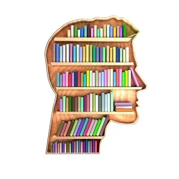 Head shaped library containing books on shelves. Brain concept. 3D Rendering Stock Illustration