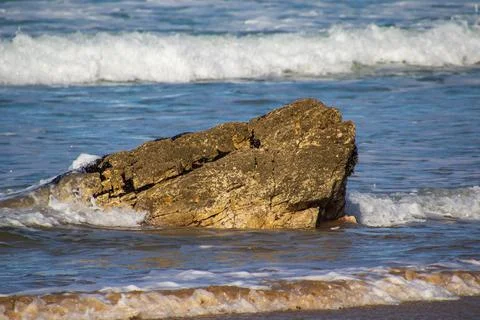 The head of a shark Stock Photos