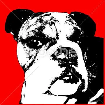 Head shot of beautiful Bulldog breed dog pop art Stock Illustration