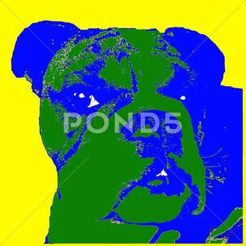 Head shot of beautiful Bulldog breed dog pop art Stock Illustration