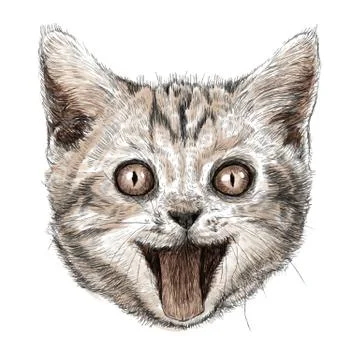 Head of smiling cat Stock Illustration