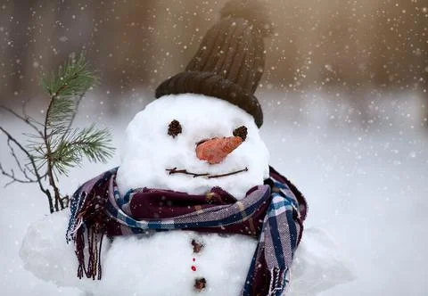 A head of a smiling snowman close up in a hat Stock Photos