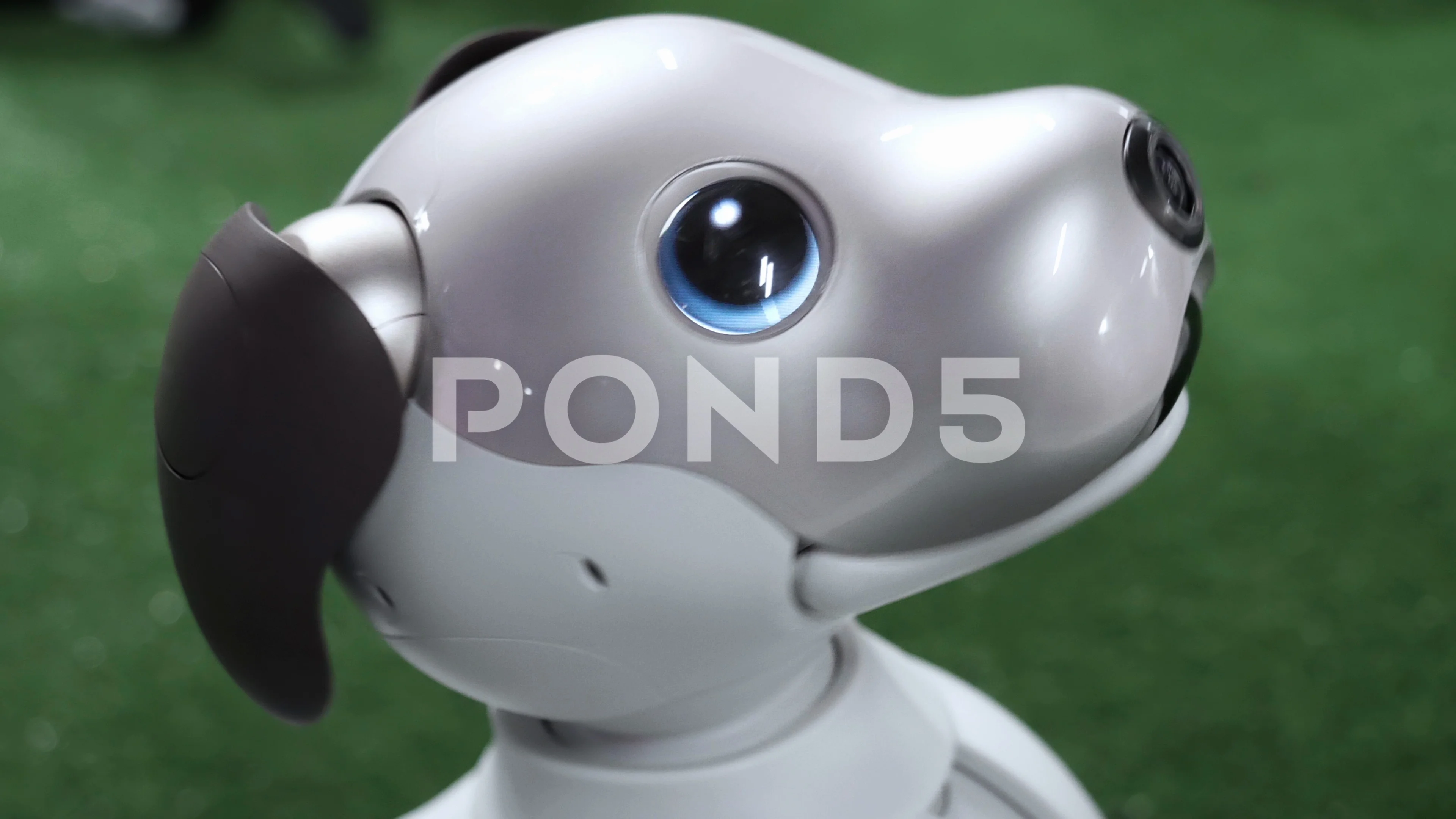 Head of Sony AIBO robot Stock Video Pond5