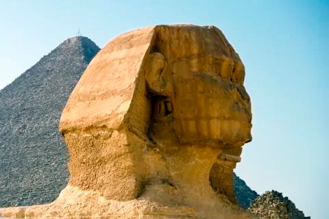The head of the sphinx in the background of the cheops pyramid Stock Photos