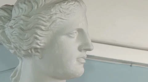 The head of the statue Stock Footage 8961681