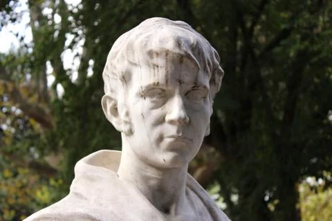 Head Statue Marble Stock Photos