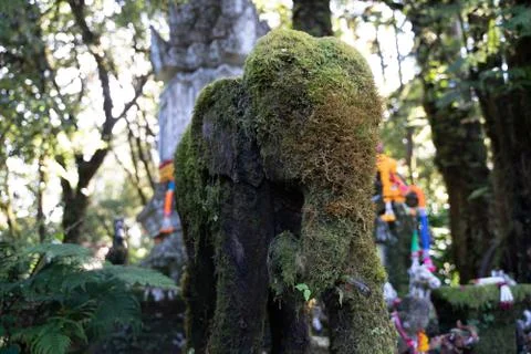 Head of a statue of a mossy elephant in front of a hindu temple Stock Photos