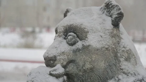 The head of the statue of panda, covered with snow during a snowfall Stock Footage 70345202