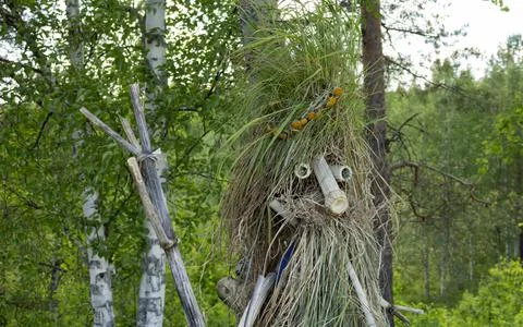 Head of straw puppet in the forest. Stock Photos