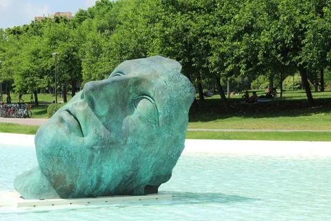 Head on the surface of the pond Stock Photos