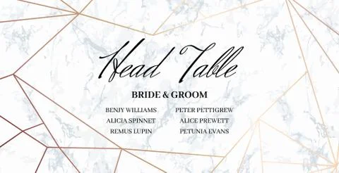 Head Table Bride and groom template card Stock Illustration