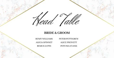 Head Table Bride and groom template card Stock Illustration