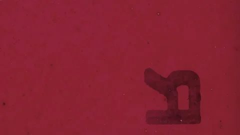 HEAD TAILS 1 Stock-Footage 201309344