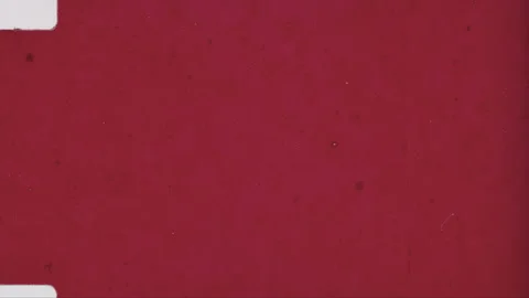 HEAD TAILS 17 Stock Footage 201309361