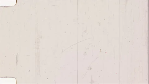 HEAD TAILS 2 Stock Footage 201309326