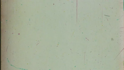 HEAD TAILS 29 Stock Footage 201309381