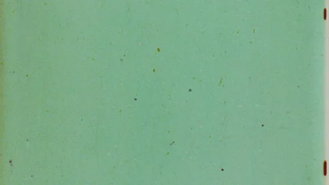 HEAD TAILS 3 Stock-Footage 201309328