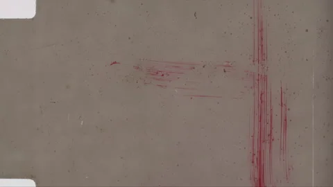 HEAD TAILS 35 Stock Footage 201309380