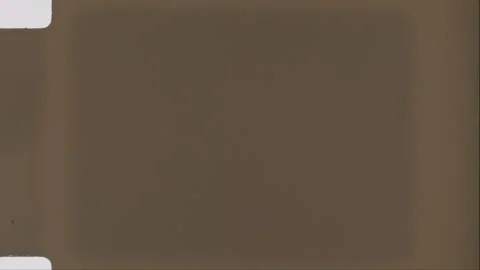 HEAD TAILS 43 Stock Footage 201309387