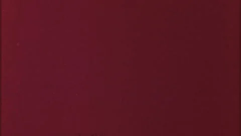 HEAD TAILS 50 Stock-Footage 201309392