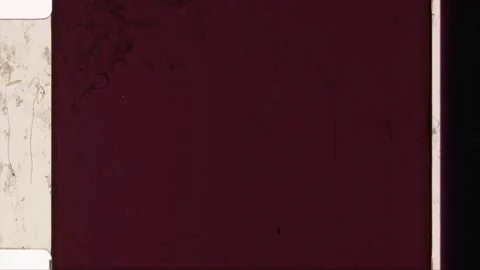 HEAD TAILS 56 스톡 동영상 201309403