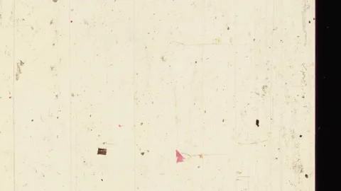 HEAD TAILS 62 스톡 동영상 201309411