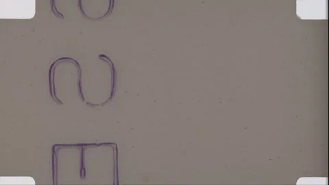 HEAD TAILS 66 Stock Footage 201309414