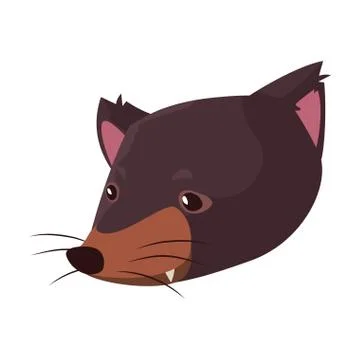 Head of tasmanian devil on white background Stock Illustration