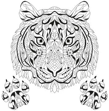 Head of tiger with paws zentangle styled for coloring, for t-shirt design, ta Stock Illustration