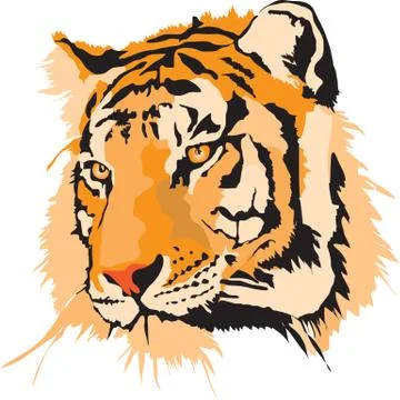 Head Of Tiger Vector Stock Illustration
