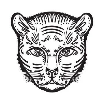 Head of Tiger. Vector illustration Stock Illustration