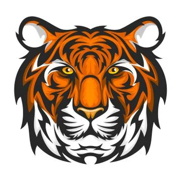 The head of a tiger on a white background. Stock Illustration