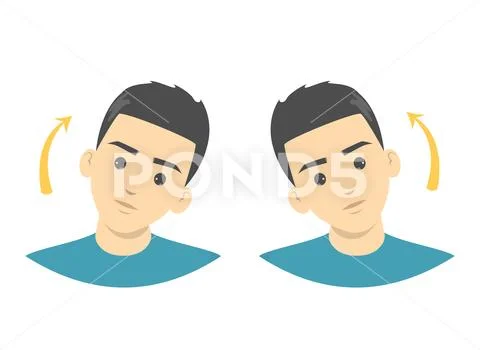 Head tilt exercise for neck stretch. Warm-up exercise Stock Illustration