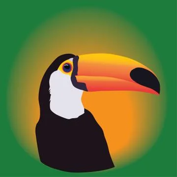 Head of a Toucan on a green background Stock Illustration