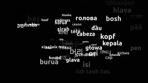 Head Translated in 72 Worldwide Languages Endless Looping 3d Zooming Wordclou Stock Footage 145197918