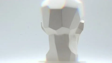 Head Video Stock Footage 172184713