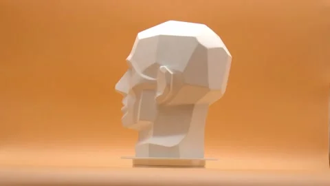 Head Video Stock Footage 172187507