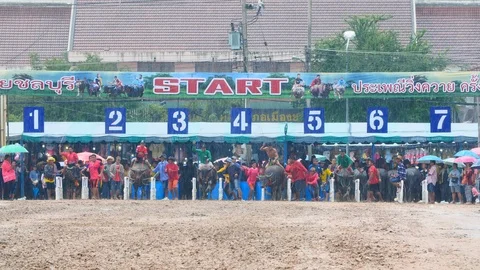 Head On View Buffalo Racing Chonburi Видео 98236367