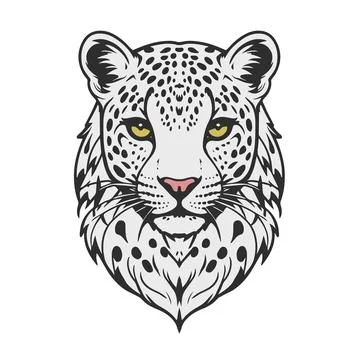 Head of white leopard. Stock Illustration