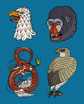 Head of Wild Animal Predator. Eagle Falcon Monkey Face and Chinese Dragon Illustrazione stock