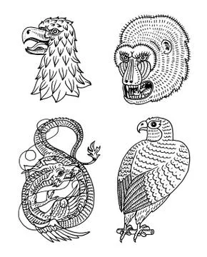 Head of Wild Animal Predator. Eagle Falcon Monkey Face and Chinese Dragon Illustrazione stock