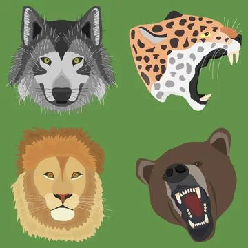 The head of a wolf, the head of a leopard, a bear, a lion Stock Illustration