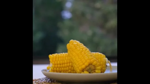 A head of young boiled corn lies on a plate. Vertical video Stock Footage 287009334