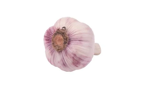 Head of young garlic isolate Stock Photos
