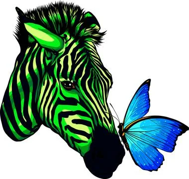 The Head Of Zebra Vector Illustration. Abstract Portrait Of Zebra Isolated On Illustrazione stock